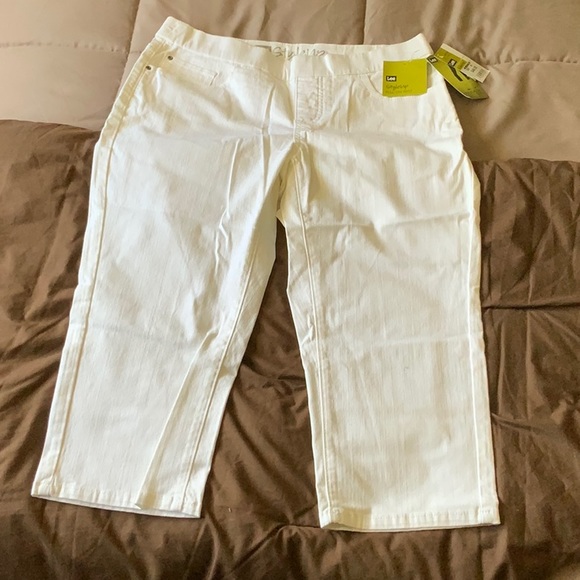 lee style up pull on pants petite